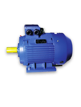 YE4 Series three-phase asynchronous motor (High efficiency)